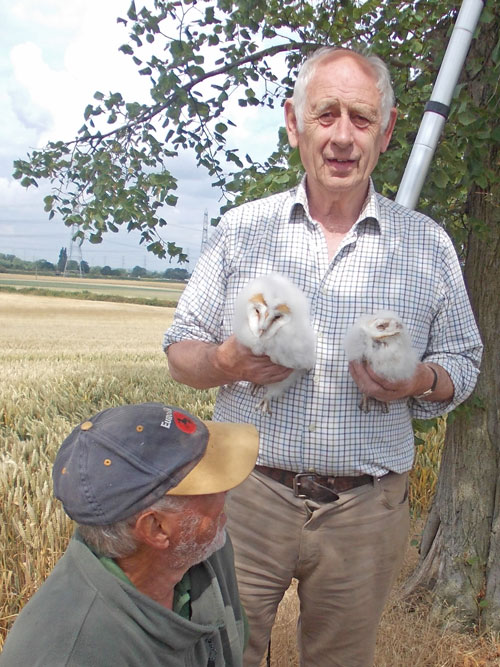 Mr Beeby holding two owl chicks