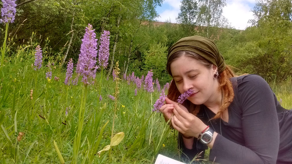 Photo of Nova with Fragrant Orchids